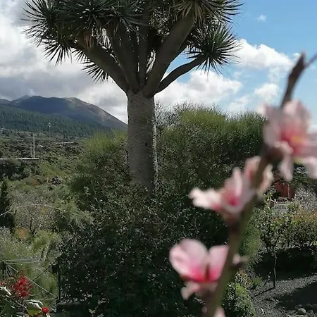 Hacienda La Centenaria,casas Rurales
