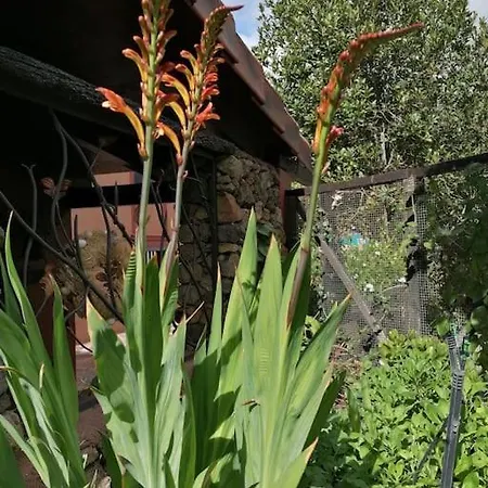 Hacienda La Centenaria,casas Rurales Nyaraló *